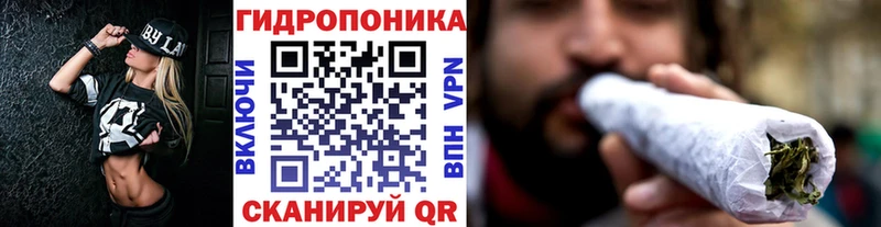 купить закладку Советская Гавань Шишки марихуана семена